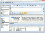 Database Browser Portable Screenshot