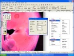 Canvas Scientific Imaging Edition Screenshot