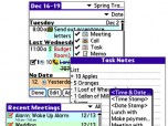 Agendus for Palm OS Professional Edition Screenshot