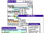 Agendus for Palm OS Professional Edition