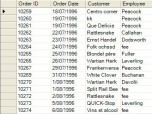 Infralution Virtual Data Objects