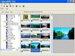 IphotoDVD Wizard