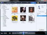 iPod plug-in for Windows Media Player