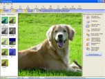 Photolightning photo software Screenshot