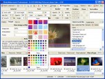 PhotoWatermark Professional Screenshot