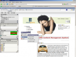 +CMS Content Management System