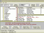 DelinvFile Screenshot