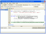 SplineTech VBS Debugger Screenshot