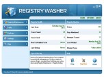 Registry Washer Screenshot