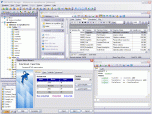EMS SQL Manager for MySQL Screenshot