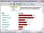 Reportizer Viewer Screenshot