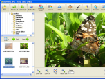 Photo! Editor Screenshot