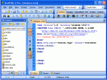 AceHTML 6 Pro Screenshot