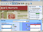 ClickTracks Analyzer Screenshot