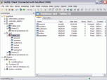 EngInSite MySQL Client Screenshot