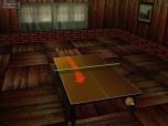 Table Tennis Pro