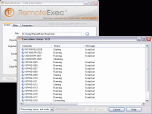 RemoteExec Screenshot