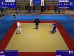 3D Judo Fighting Screenshot