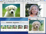 Morpheus Photo Morpher Mac Screenshot