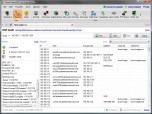 Free PacketTrap DNS Audit Screenshot