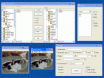 NH's PictureSort Screenshot