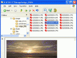 FilePreviewer Screenshot