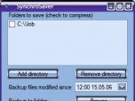 SynchroSaver Screenshot