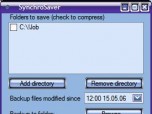 SynchroSaver