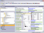 URLBase 6 Professional Edition Screenshot