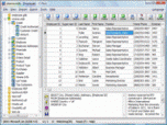 xBaseView Database Explorer Screenshot