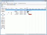 InLoox PM Outlook project management Screenshot