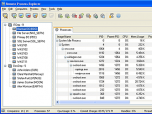 Remote Process Explorer Screenshot