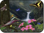 Butterflies3D Screenshot