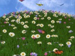 3D Camomile Field Screensaver Screenshot