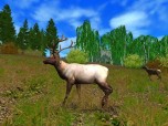 Hunting Unlimited 2009 Screenshot