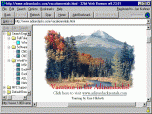 32bit Web Browser Screenshot