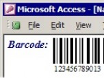 MS Access Barcode Integration Kit Screenshot