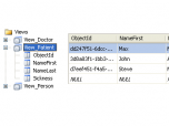 Signumsoft .NET Object Database Screenshot