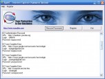 SpotIE Password Recovery Screenshot