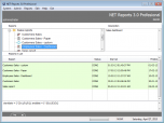 NET Reports Screenshot