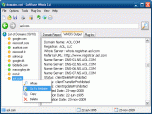 SoftFuse Whois Screenshot