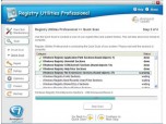 Registry Utilities Professional Screenshot