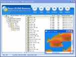 Power CD DVD Recovery Screenshot