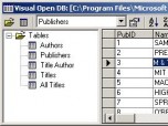Visual Open DB Screenshot