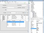 DBEXform