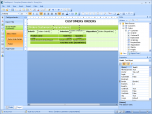 FastReport.Net Screenshot