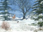Winter Afternoon Screensaver
