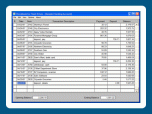 Checkbook for Flash Drives Screenshot