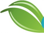 Green Phone (An eco friendly application Screenshot