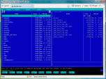 Rhino Terminal